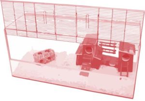 Hamster Terrarium