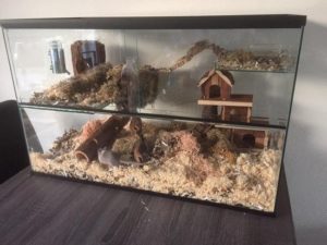 Terrarium 80 x 40 x 50 cm
