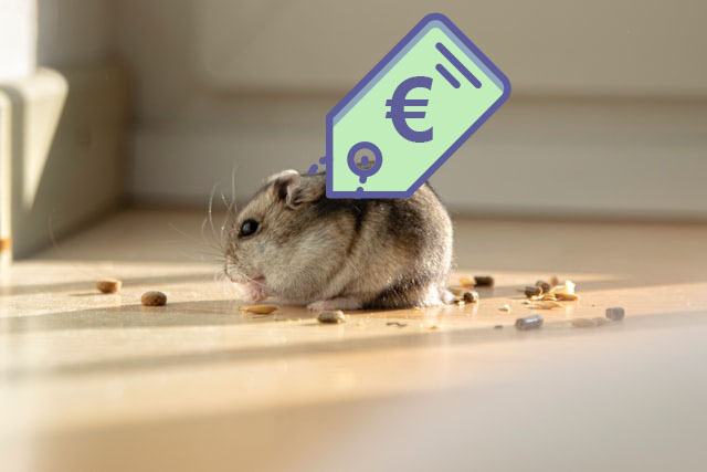 draadloos in plaats daarvan bekken Hoe duur is een hamster? - Hamsterkooi Kopen